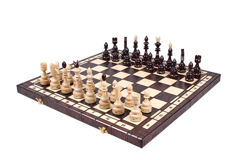 Jeu d'Échecs en Bois de Hêtre et Bouleau avec Échiquier Pliable Praticité pour Passionnés
